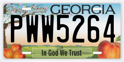GA license plate PWW5264