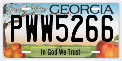 GA license plate PWW5266