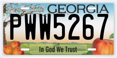 GA license plate PWW5267