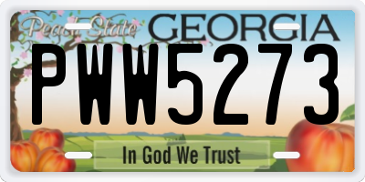 GA license plate PWW5273