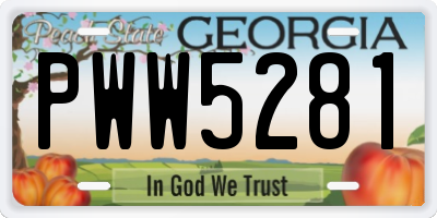 GA license plate PWW5281