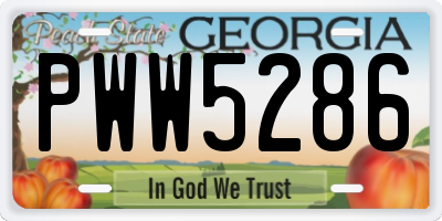 GA license plate PWW5286
