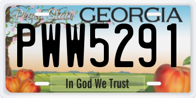 GA license plate PWW5291