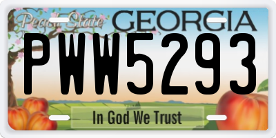 GA license plate PWW5293