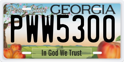 GA license plate PWW5300