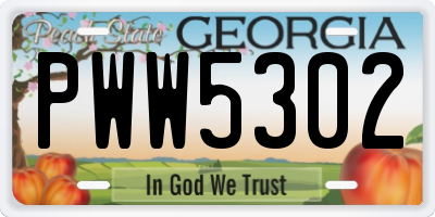 GA license plate PWW5302