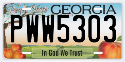 GA license plate PWW5303
