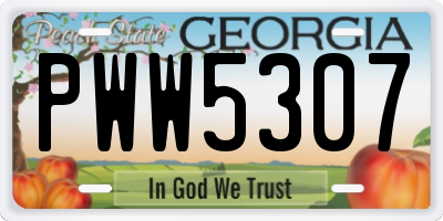 GA license plate PWW5307