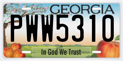 GA license plate PWW5310