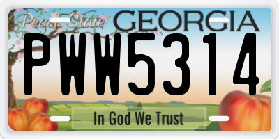 GA license plate PWW5314