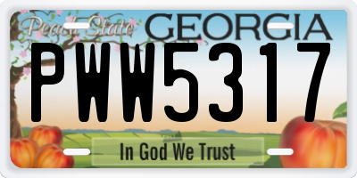 GA license plate PWW5317