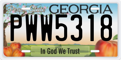 GA license plate PWW5318
