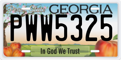 GA license plate PWW5325