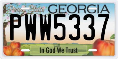 GA license plate PWW5337