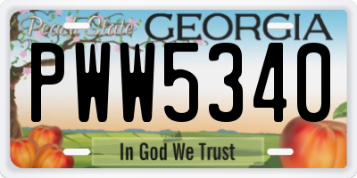 GA license plate PWW5340