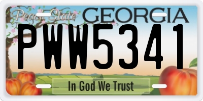 GA license plate PWW5341