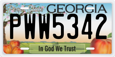 GA license plate PWW5342