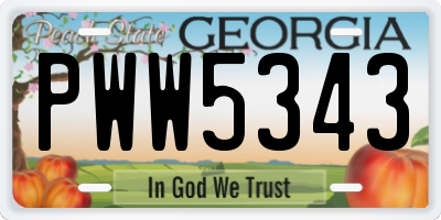 GA license plate PWW5343
