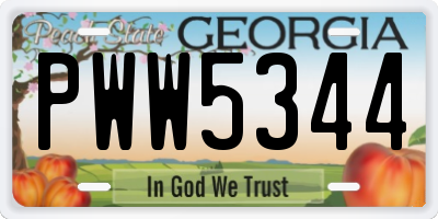 GA license plate PWW5344