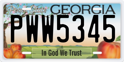 GA license plate PWW5345