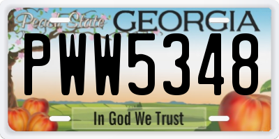 GA license plate PWW5348