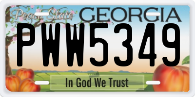 GA license plate PWW5349