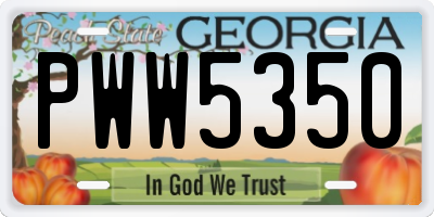GA license plate PWW5350
