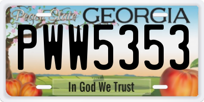 GA license plate PWW5353