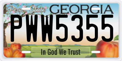 GA license plate PWW5355