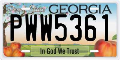 GA license plate PWW5361