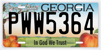 GA license plate PWW5364
