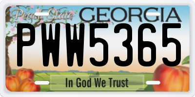 GA license plate PWW5365