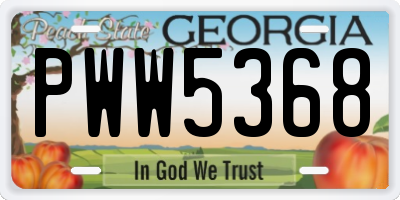 GA license plate PWW5368