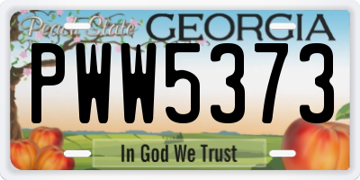 GA license plate PWW5373