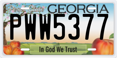 GA license plate PWW5377