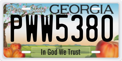 GA license plate PWW5380
