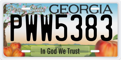 GA license plate PWW5383