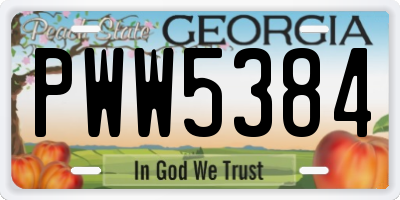 GA license plate PWW5384
