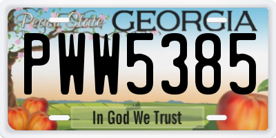GA license plate PWW5385