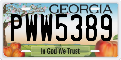 GA license plate PWW5389
