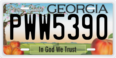 GA license plate PWW5390