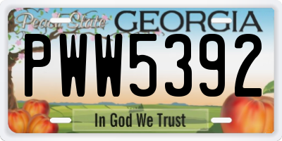 GA license plate PWW5392