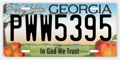 GA license plate PWW5395