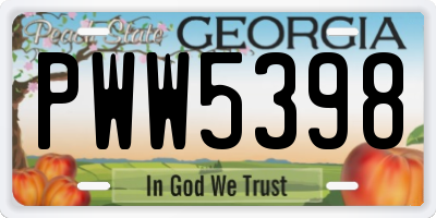GA license plate PWW5398