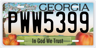 GA license plate PWW5399