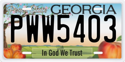 GA license plate PWW5403