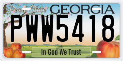 GA license plate PWW5418