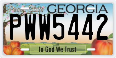 GA license plate PWW5442
