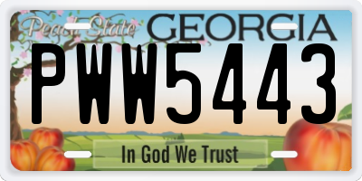 GA license plate PWW5443