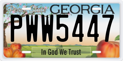 GA license plate PWW5447